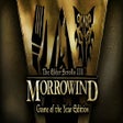 The Elder Scrolls III: Morrowind icon