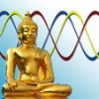 Icon of program: Bio Journal - Your Biorhy…