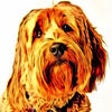 Icon of program: Cartoon Caricatures - Tur…