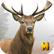 Icono de programa: Deer Hunting 3D Sniper Sh…