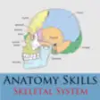 Icon of program: Anatomy Skills - Skeletal…