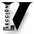 Icon of program: SNTSS  SECCIÓN V