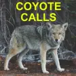 Icon of program: Coyote Calls for Predator…