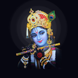 Icon of program: Sri Krishna Travels