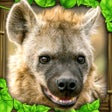 Icon of program: Hyena Simulator