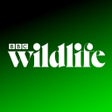 Icon of program: BBC Wildlife Magazine fro…