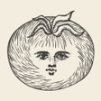 Icon of program: Focus Tomato - Let's focu…