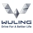 Icon of program: Wuling Sales Assistance