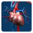 Icon of program: Artery System: CardioVasc…