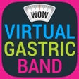 Icon of program: Virtual Gastric Band Hypn…