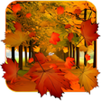 Icono de programa: Fall Live Wallpaper