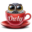 Owly icon