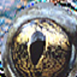 Icon of program: Space Toad MIDI