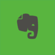 Icon of program: Evernote for Windows 10
