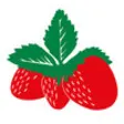 Icon of program: Bckmann Erdbeeren