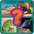 Icono de programa: Adivinar Nombre de Animal…