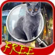Icon of program: Hidden Objects The House …