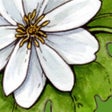 Icon of program: About Herbs