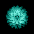 Icon of program: Galaxy Flowers Live Wallp…