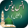 Icon of program: Anas Younus Naats