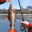 Icono de programa: Shark Fishing Wild Catch …