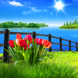 Icono de programa: Spring Live Wallpaper