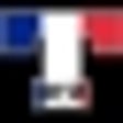 Icon of program: French Verb Trainer Pro