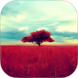 Icon of program: Gloomlogue