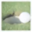Icon of program: Wacky Mini Golf