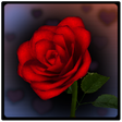 Icono de programa: 3D Rose Bouquet LWP Free