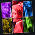 Icon of program: PictoLand