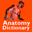 Icon of program: Anatomy Dictionary