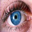 Icono de programa: Tips to Protect Your Eyes…