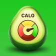 Icon of program: Calo: AI Macro Tracker