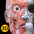 Icono de programa: Muscle | Skeleton - 3D At…
