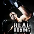 Icon of program: Real Boxing for Windows 1…