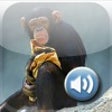 Toddler Tapping Zoo: Animal Sights and Sounds icon
