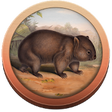 Icono de programa: Field Guide South Austral…