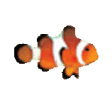 Icon of program: Clownfish for Skype (Debi…
