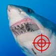 Icon of program: Shark Hunter 2015