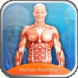 Icon of program: Human Anatomy Explorer