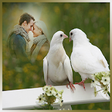 Love Birds Photo Frames icon