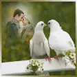 Icon of program: Love Birds Photo Frames
