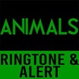 Icon of program: Animals-Maroon 5 Ringtone