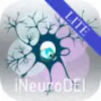 Icon of program: i-NeuroDEI Lite