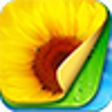 Icon of program: iWallpapers for Windows 8