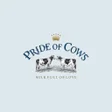 Icon of program: Pride of Cows