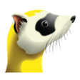 Icono de programa: Ferret WiFi