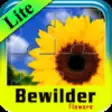 Icon of program: Bewilder-III Lite flowers…