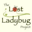 Icon of program: Lost Ladybug
